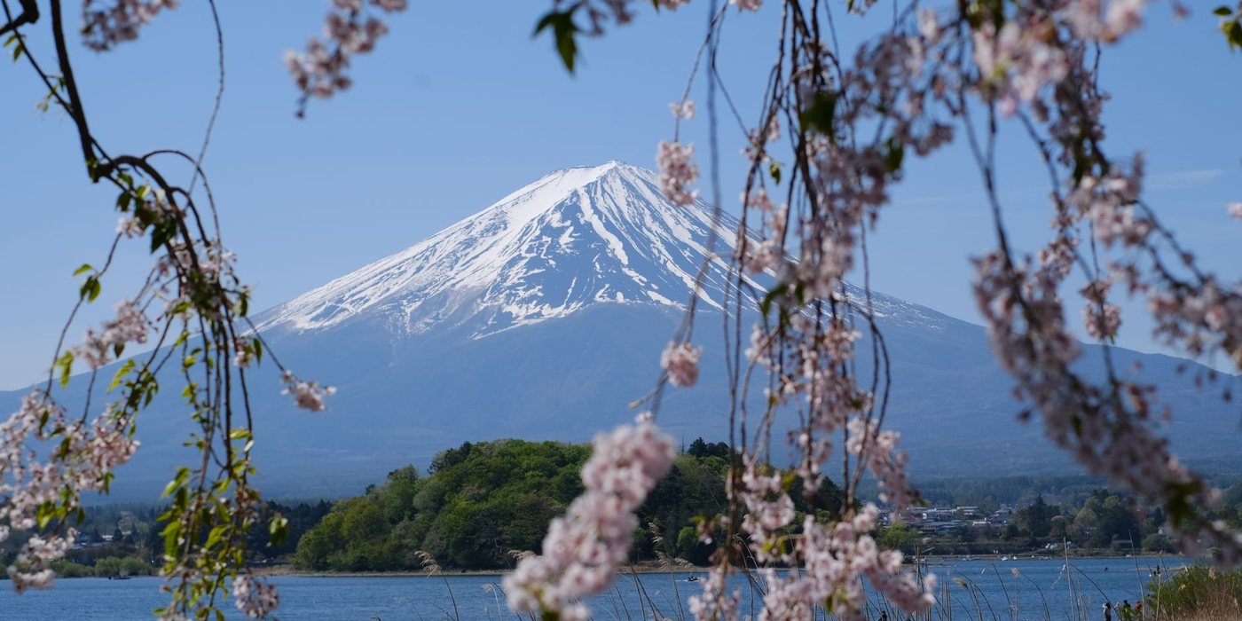 Mount Fuji framed by cherry blossoms in Japan